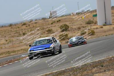 media/May-03-2025-Lucky Dog Racing (Sat) [[206de64b9d]]/Turn 6 (150pm-230pm)/